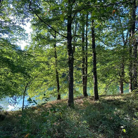 Chateau De La Biste ベッド・アンド・ブレックファスト