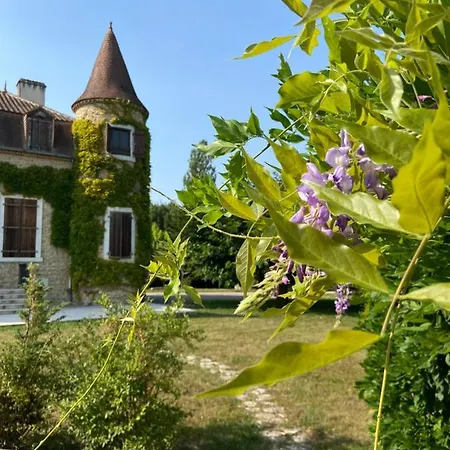 Chateau De La Biste 3* Tourdun