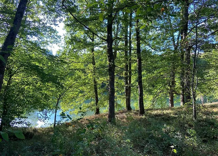 Chateau De La Biste Oda ve Kahvaltı