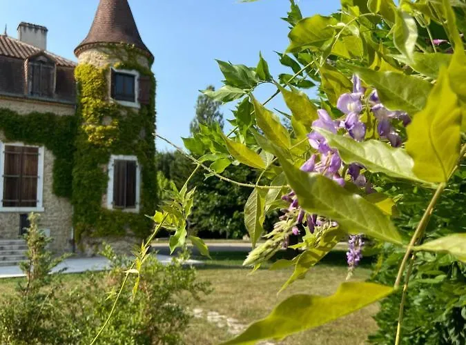 Chateau De La Biste 3* Tourdun